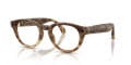 Meta Glasses Nova Tortoise Horn (4500Y1) Eyeglasses - Color Image
