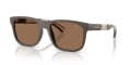 Burberry BE4499U Matte Brown (423473) Sunglasses - Color Image
