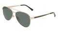 Cole Haan CH6096 Gold (710) Sunglasses - Color Image