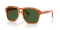 Dolce & Gabbana DG4568 Transparent Camel On Striped Ginger (34839A) Sunglasses - Color Image