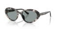 Dolce & Gabbana DG4570 Grey Havana (3172/1) Sunglasses - Color Image