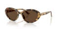 Dolce & Gabbana DG4570 Yellow Havana (512/73) Sunglasses - Color Image