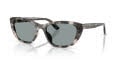 Dolce & Gabbana DG4571 Grey Havana (3172/1) Sunglasses - Color Image