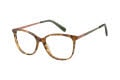Radley RDO-6039 Tortoise (102) Eyeglasses - Color Image