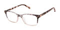Ted Baker TPW007 Grey (GRY) Eyeglasses - Color Image
