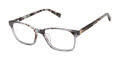Ted Baker TPW007 Slate (SLA) Eyeglasses - Color Image