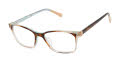 Ted Baker TPW007 Tortoise (TOR) Eyeglasses - Color Image