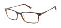 Ted Baker TFM009 Grey Brown Horn (GRY) Eyeglasses - Color Image