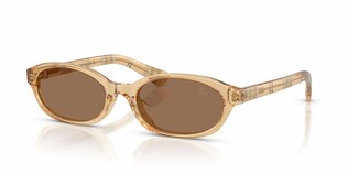Visit Sunglasses Burberry BE4508D Image 1
