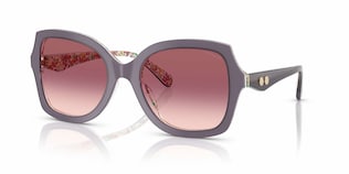 Visit Sunglasses Coach HC8410U Image 1