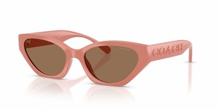 Visit Sunglasses Coach HC8459U Image 1