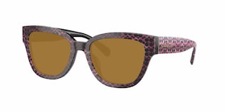 Visit Prescription Sunglasses Coach HC8379U Image 1