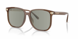 Visit Prescription Sunglasses Coach HC8413BD Image 1