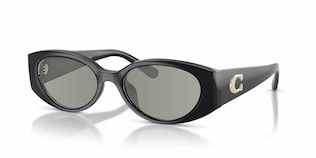 Visit Prescription Sunglasses Coach HC8462U Image 1