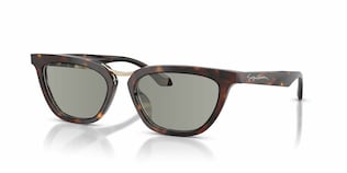 Visit Prescription Sunglasses Giorgio Armani AR8253U Image 1