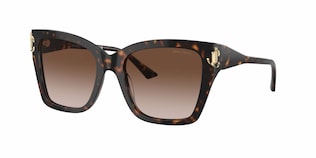 Visit Sunglasses Jimmy Choo JC5012 Image 1