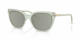 Visit Prescription Sunglasses RALPH by Ralph Lauren RA5330U Image 1