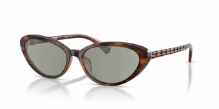 Visit Prescription Sunglasses RALPH by Ralph Lauren RA5338U Image 1