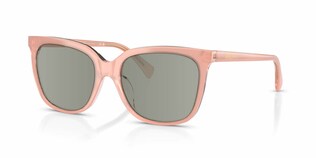 Visit Prescription Sunglasses RALPH by Ralph Lauren RA5343U Image 1
