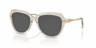 Visit Prescription Sunglasses Swarovski SK6073 Image 1