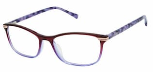 Visit Eyeglasses Ted Baker TKG003 Image 1