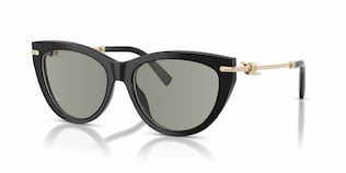 Visit Prescription Sunglasses Tiffany & Co. TF4253 Image 1