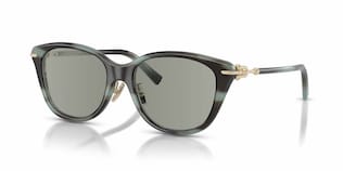 Visit Prescription Sunglasses Tiffany & Co. TF4267F Image 1