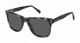 Visit Sunglasses Ted Baker TMS222 Image 1