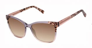 Visit Sunglasses Ted Baker TWS323 Image 1