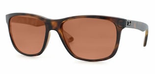 Visit Prescription Sunglasses Ray-Ban RB4181 Image 1